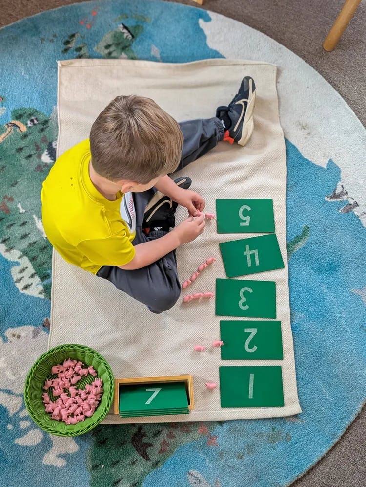 Child on floor with counting numbers and toy pigs
