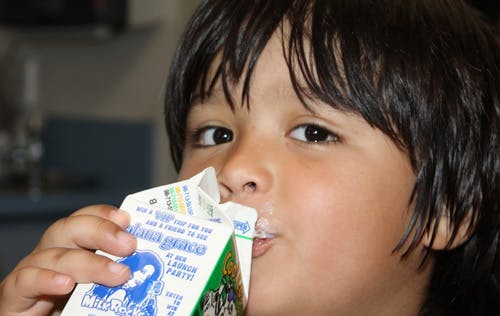 Child drinking from a milk carton