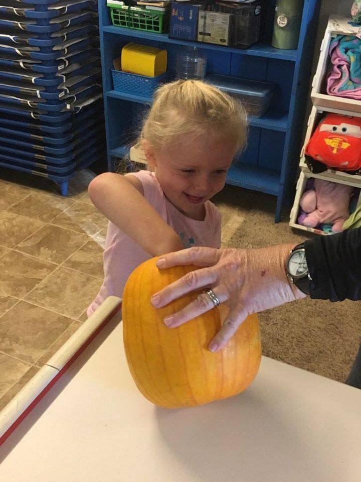 Child and person with hands on a pumpkin