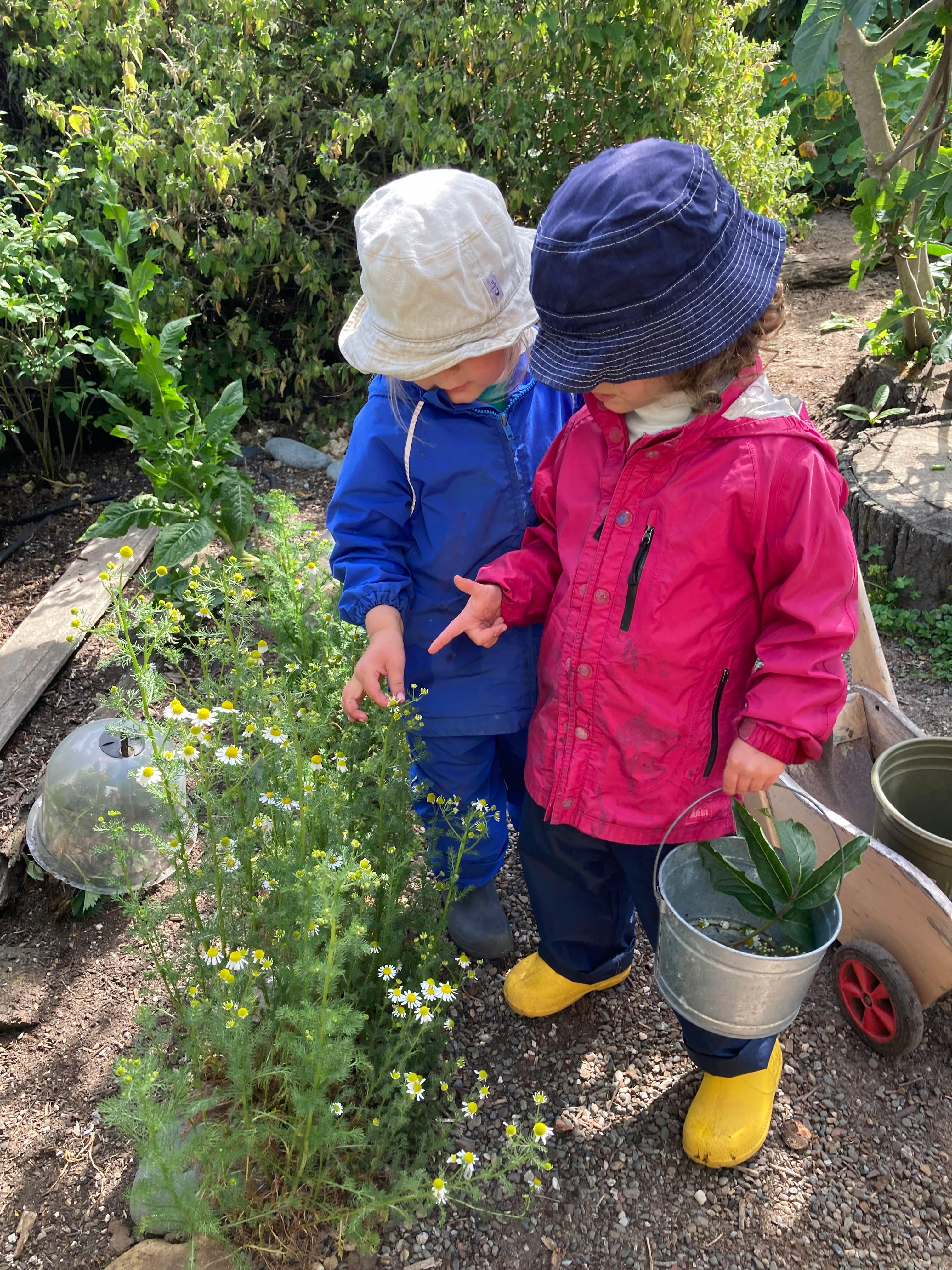Two children in hats and jackets looking at small white flowers