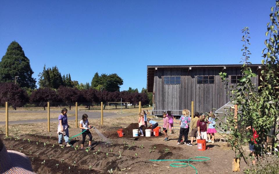 People working in a garden plot with a building in the background
