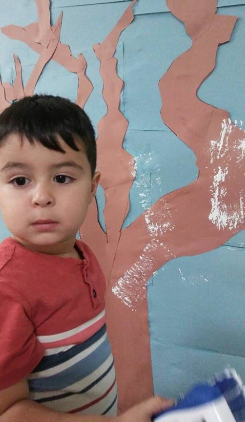 Child in a red shirt standing next to a paper tree cutout