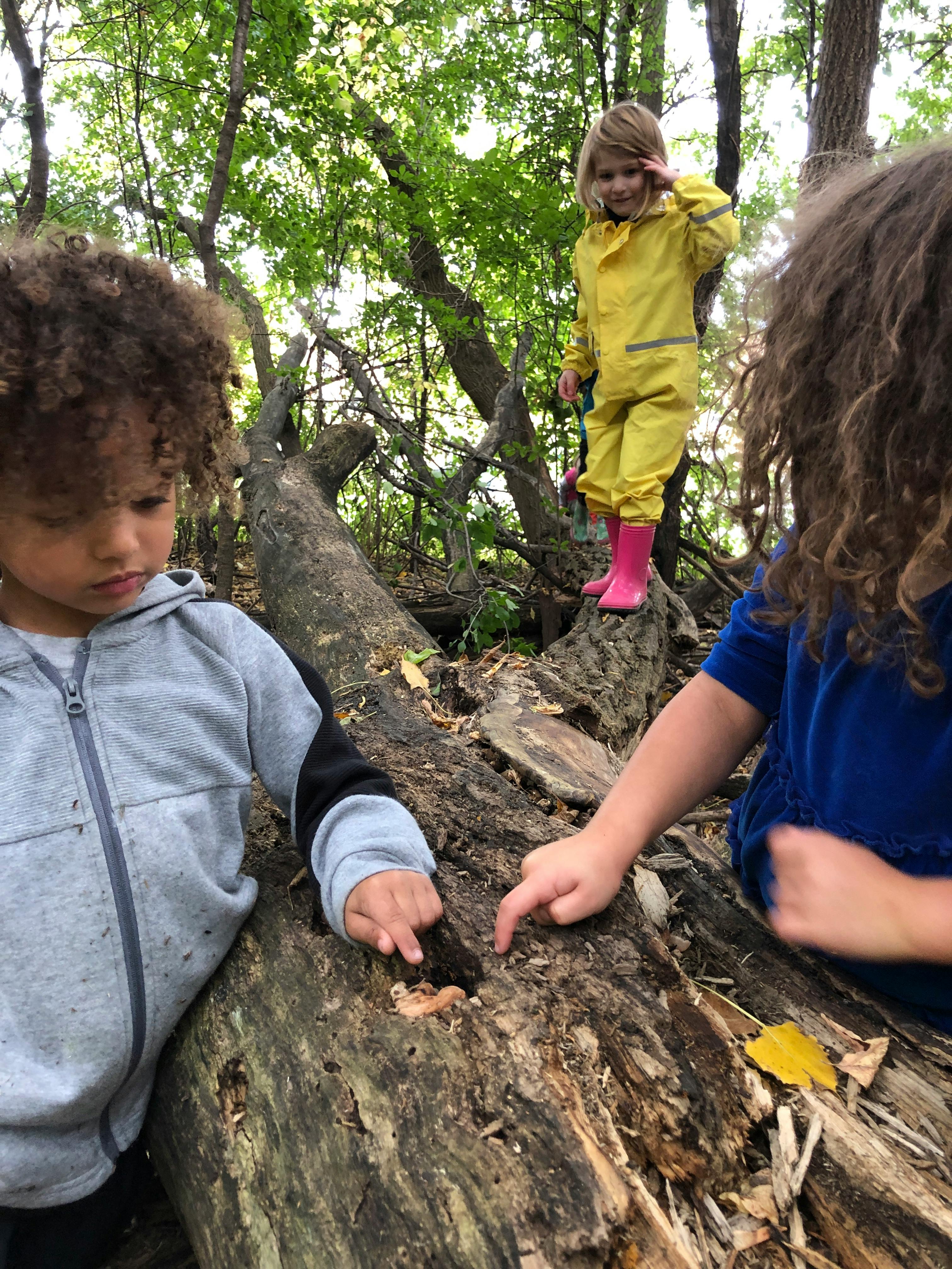 Three children interacting with a fallen tree in a wooded area