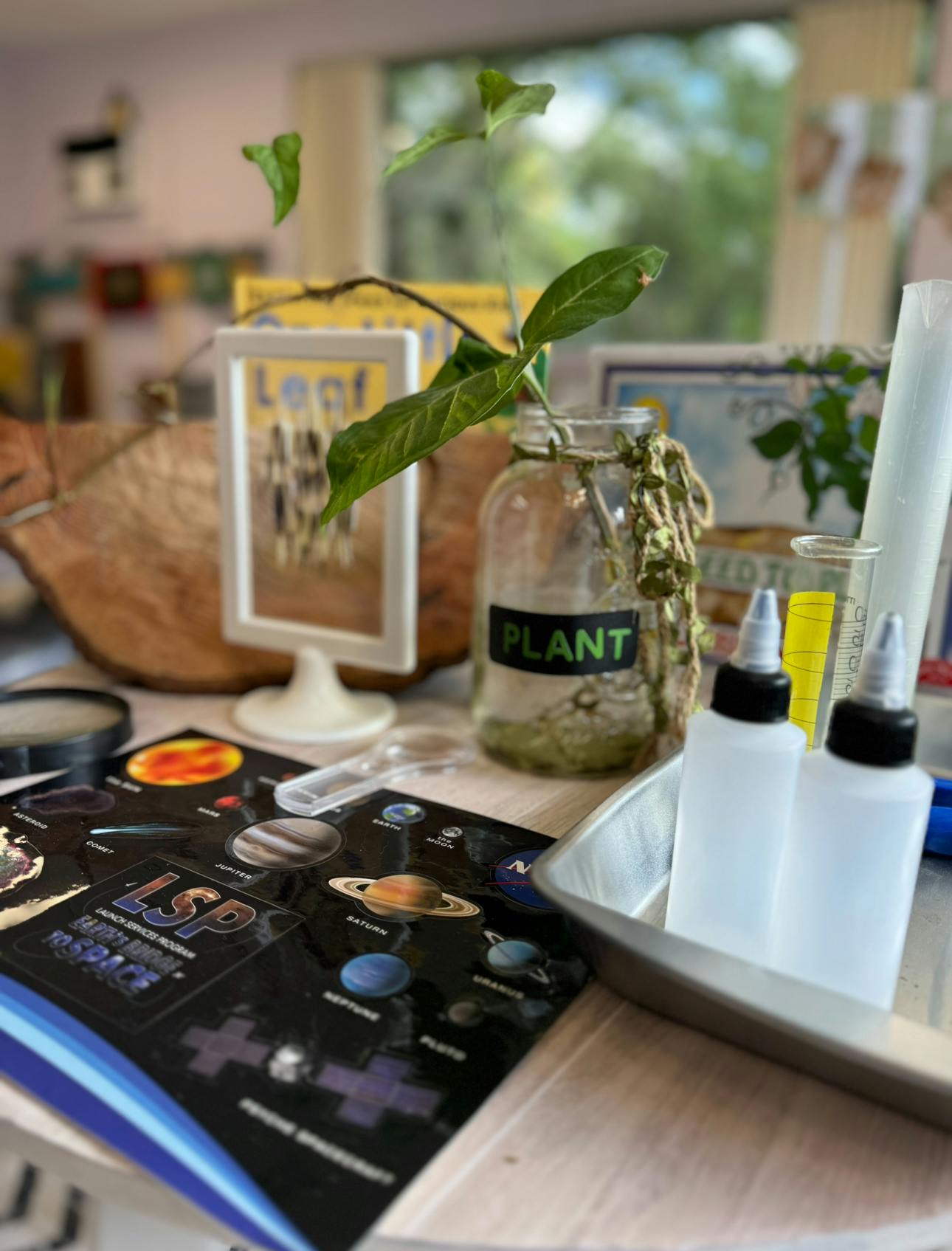 Plant in a jar with a "PLANT" label, next to a solar system poster