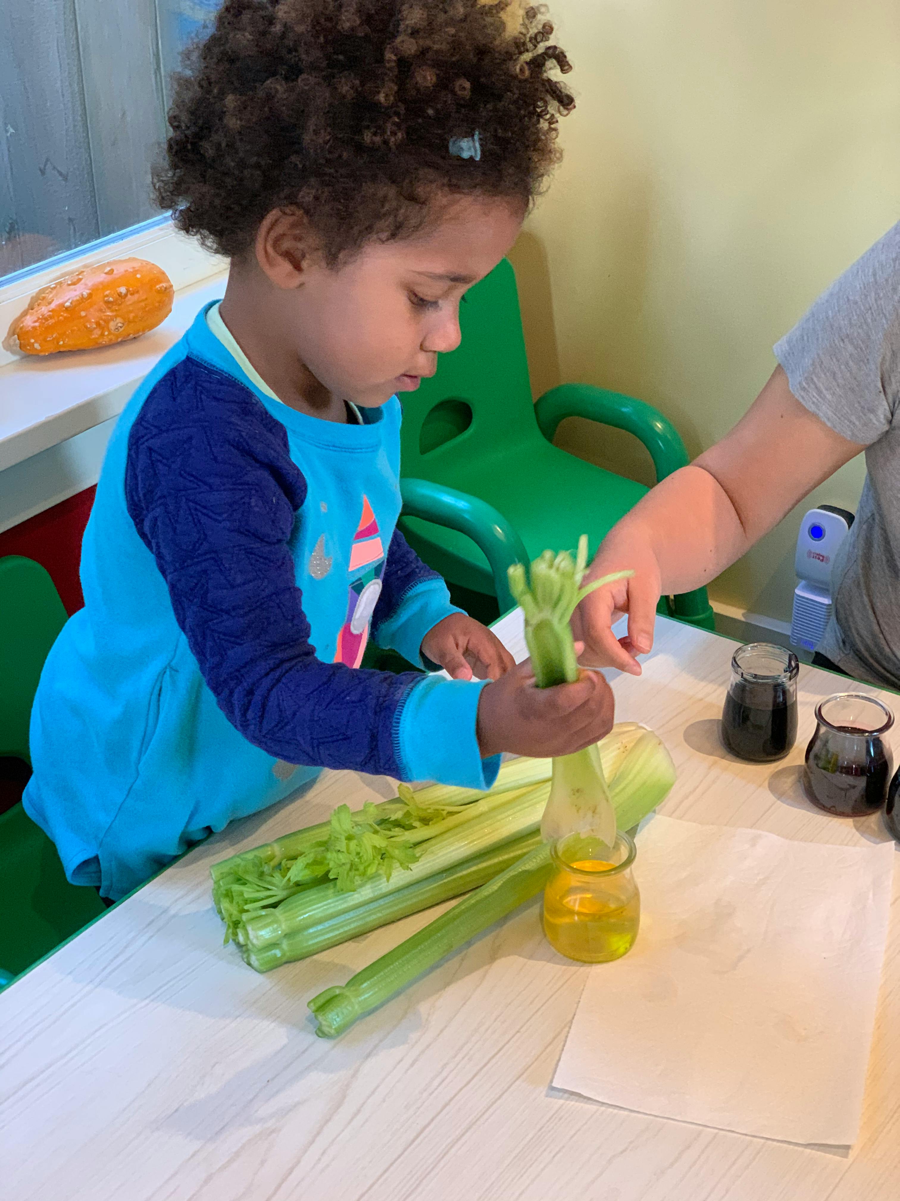 Child holding celery stalk over a jar with liquid