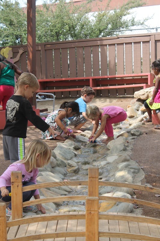 Children playing in a small stream with rocks