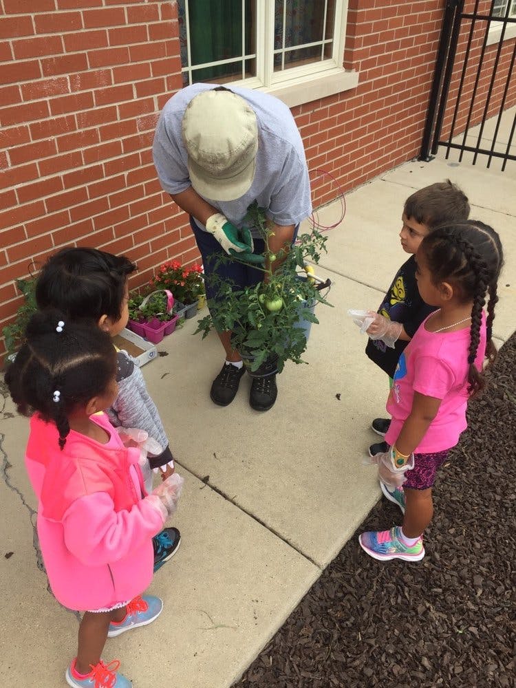Person gardening with three children watching