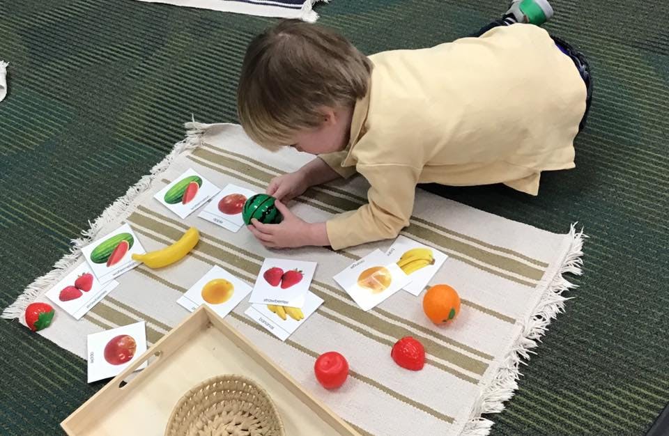 Child matching fruit and vegetable objects to picture cards on a rug