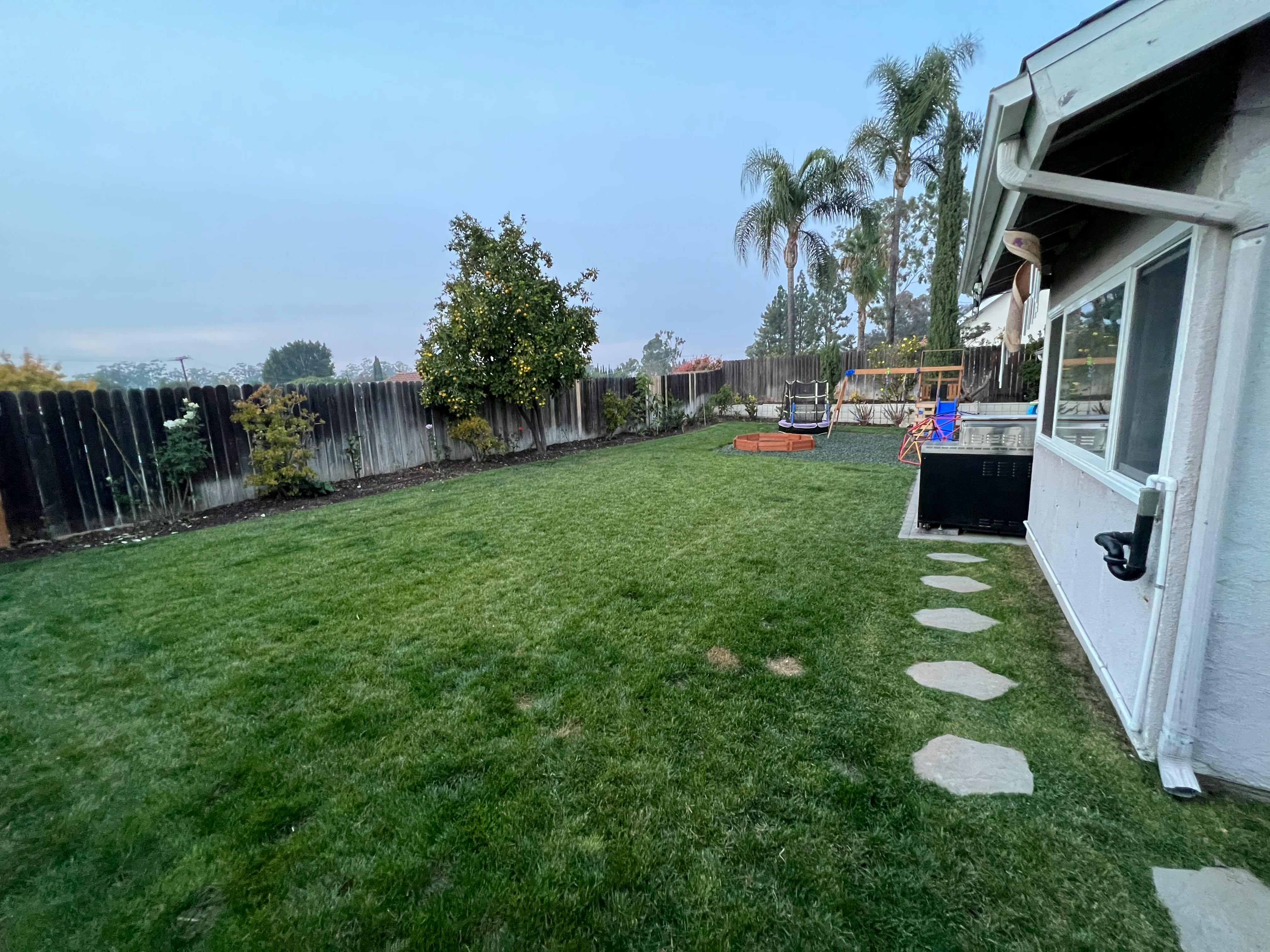 Backyard with green grass, a wooden fence, and a house
