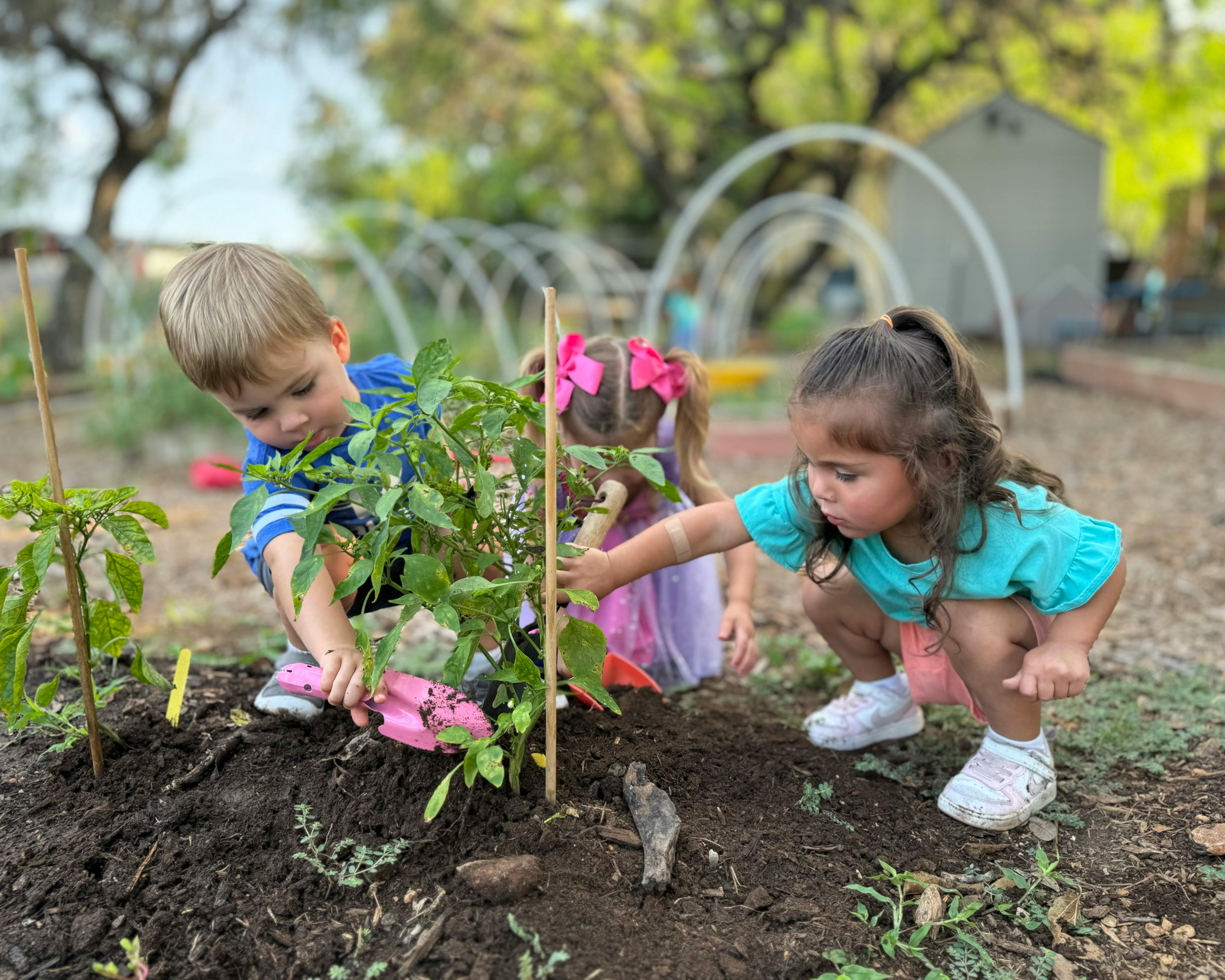 Three children planting in a garden