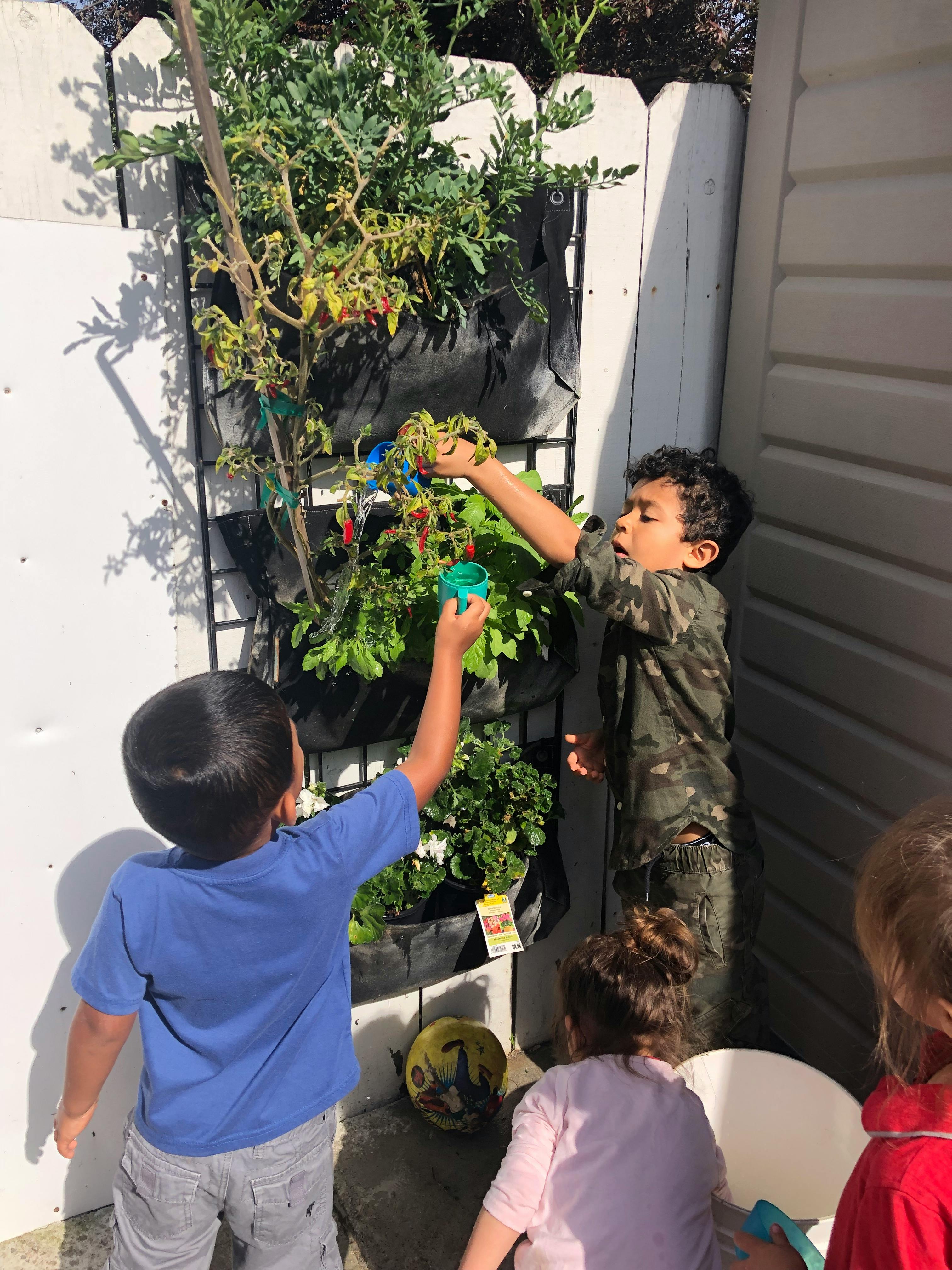 Children tending to plants in a vertical garden