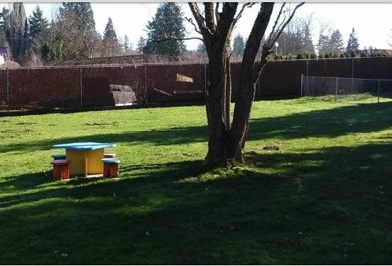 Yellow and blue picnic table with red benches in a grassy yard
