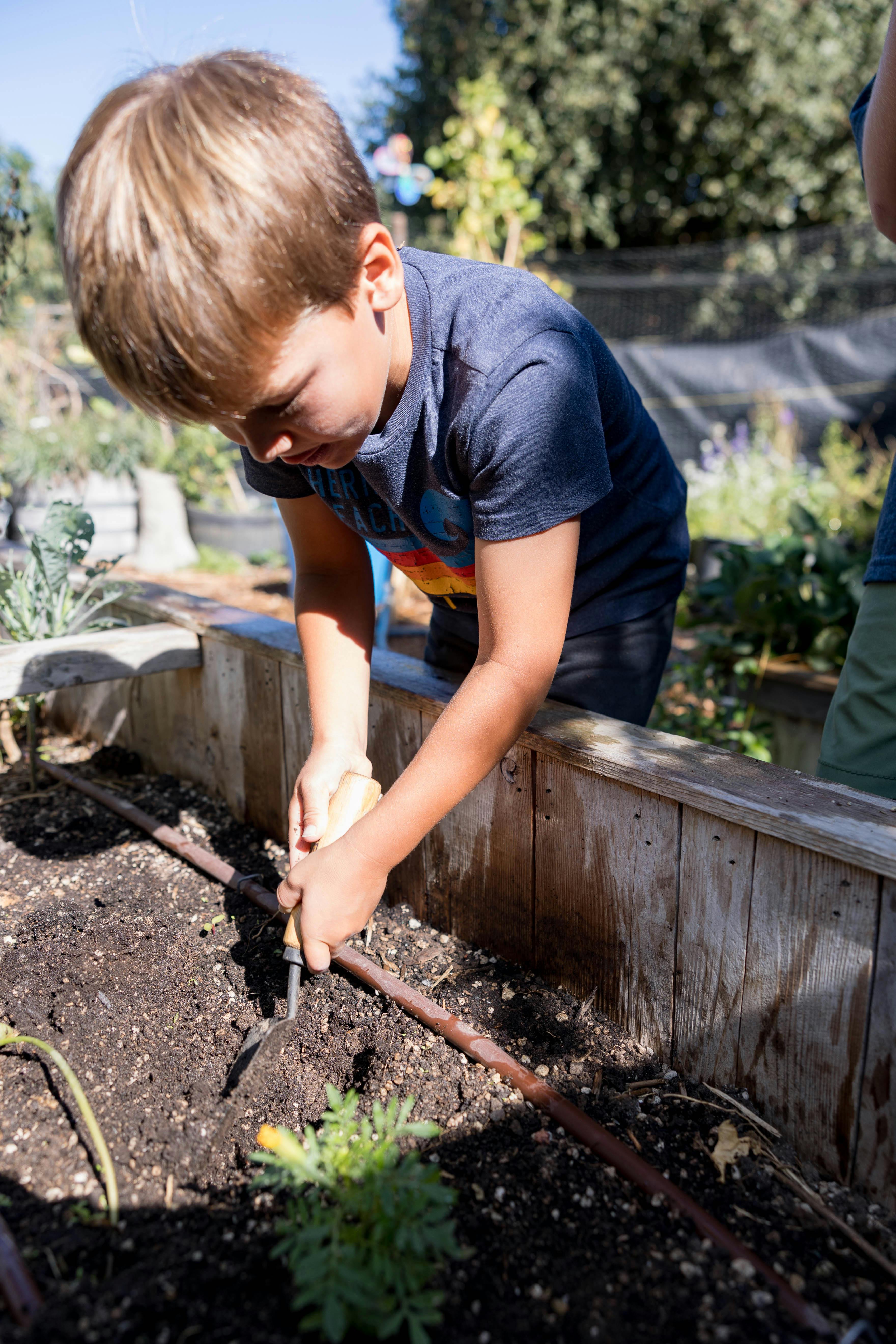 Child digging in a raised garden bed with a trowel