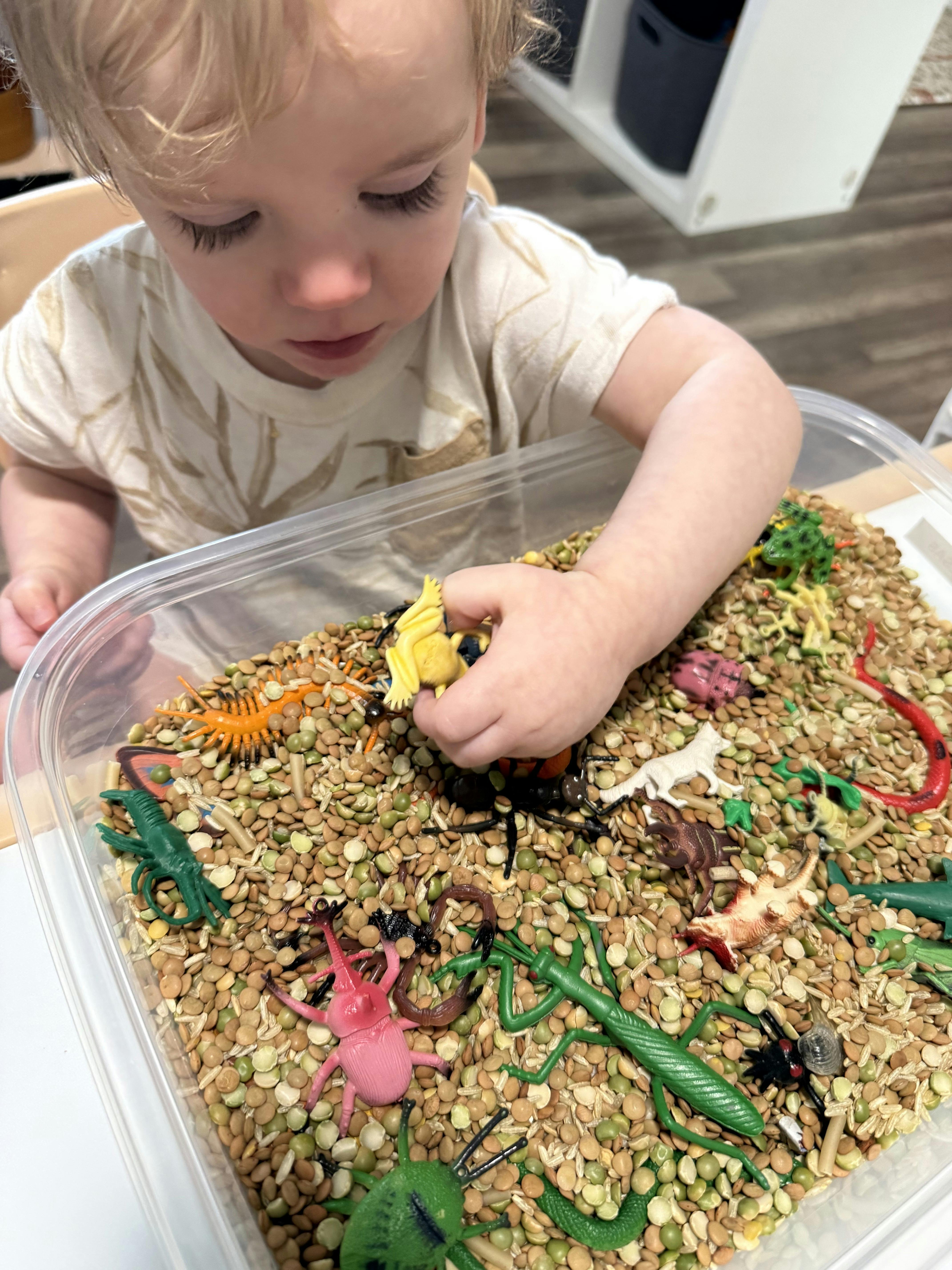 Child playing with insect toys in a bin of lentils and grains