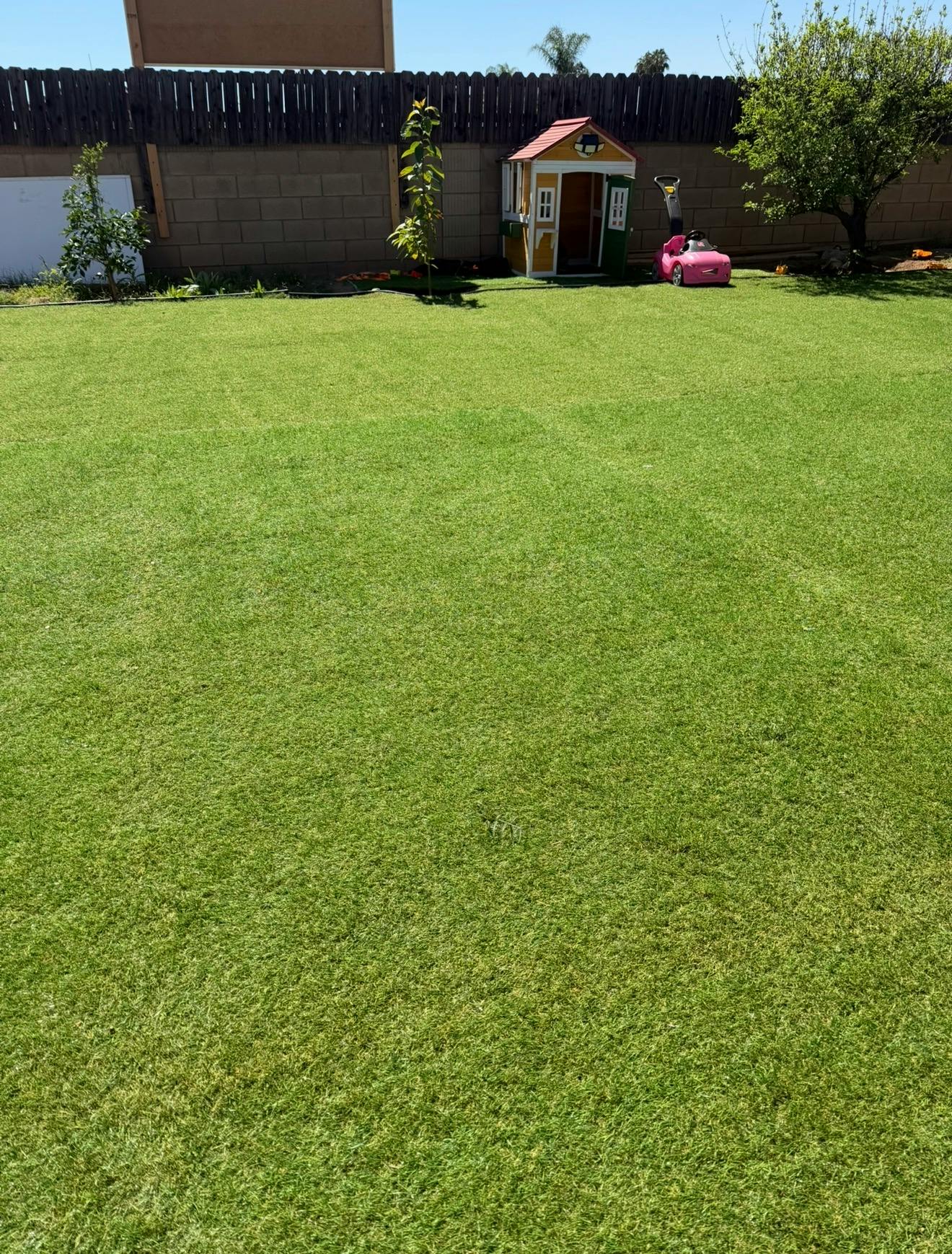 backyard with artificial turf, a small playhouse, and a pink toy car