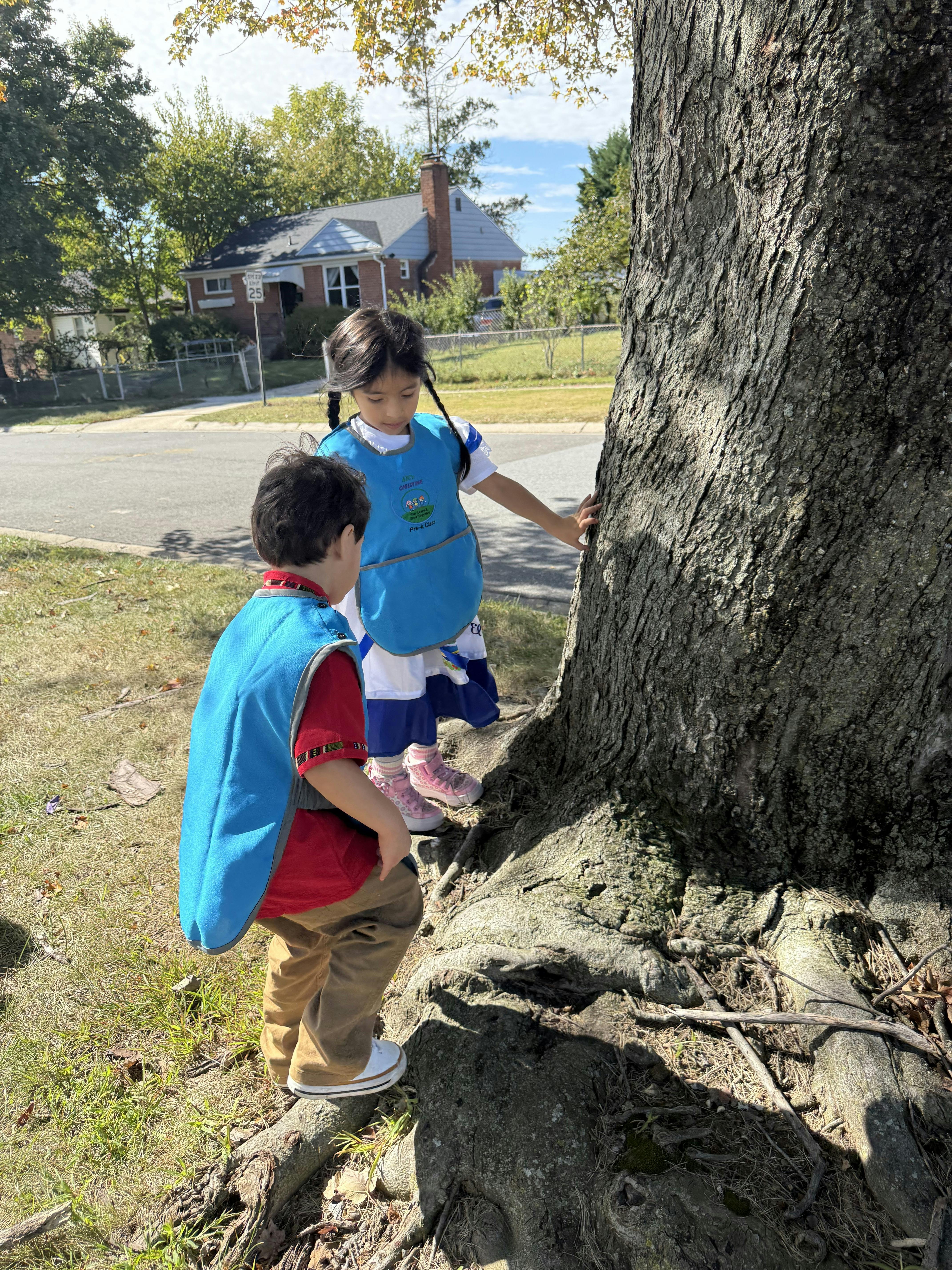 Two children in blue vests examining a tree trunk