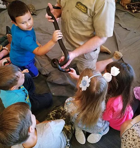 Person holding a snake with children gathered around