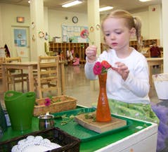 Child arranging flowers in a vase