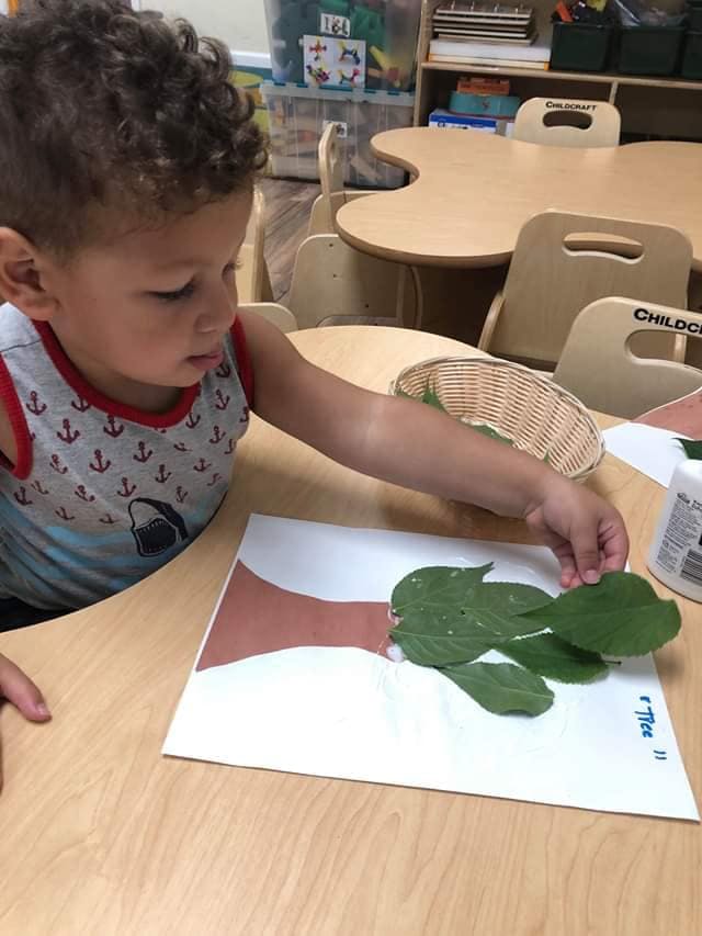 Child placing leaves on a paper tree in a classroom