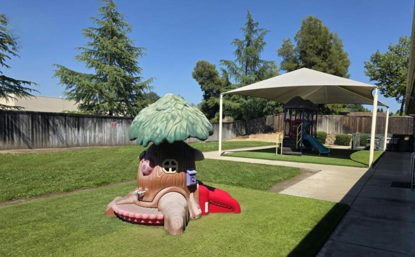 Playground equipment including a tree-shaped climber and a slide under a canopy