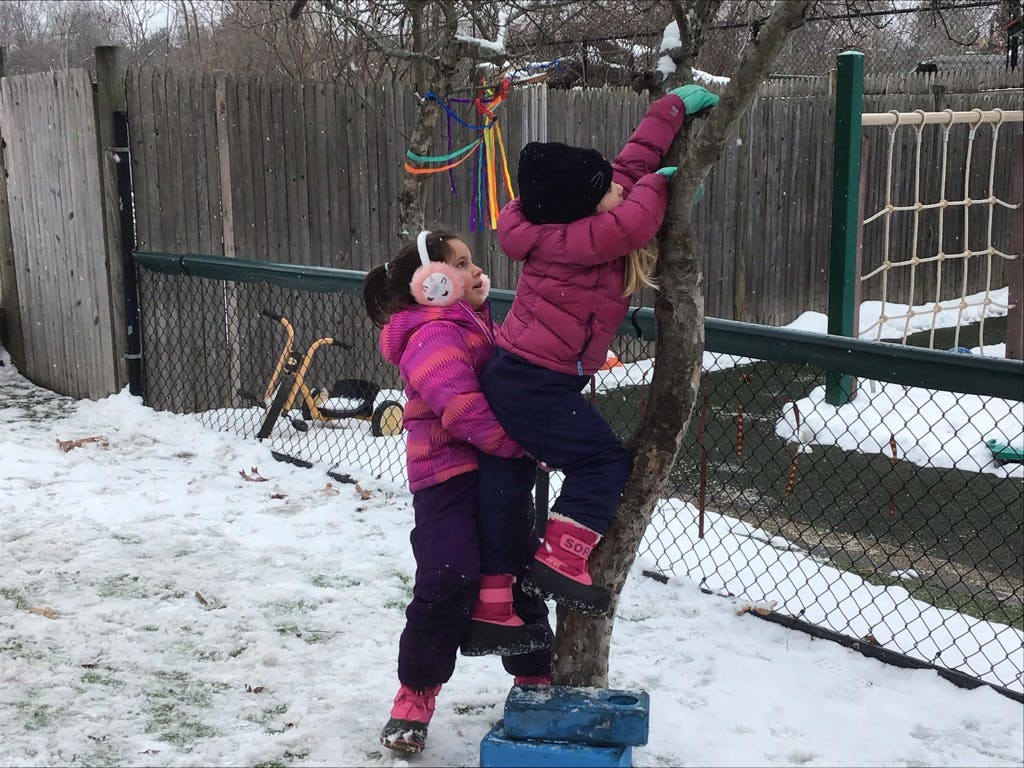 Two children climbing a tree in the snow