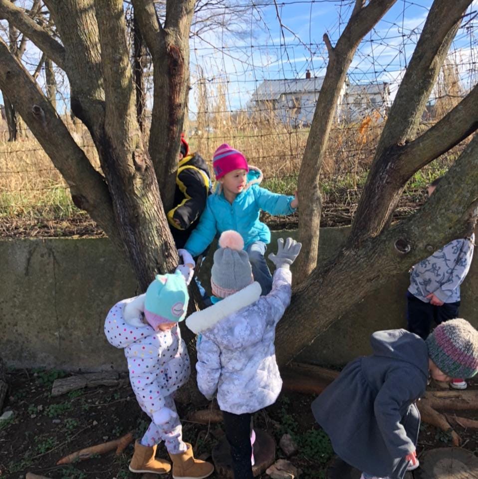 Children playing around a tree