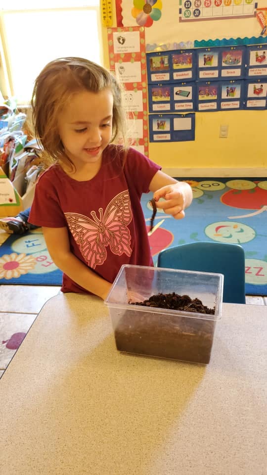 Child holding a worm over a container of soil