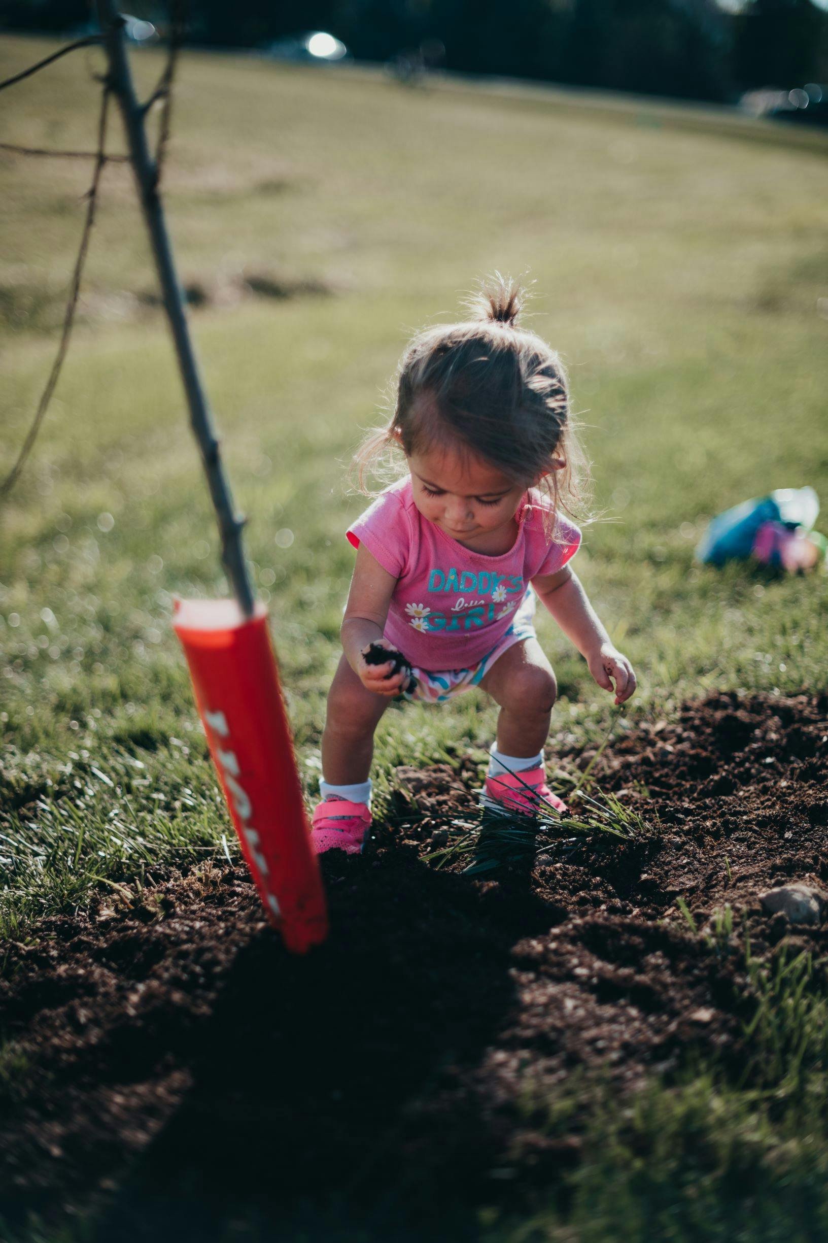 Child in pink shirt playing in dirt next to a small tree