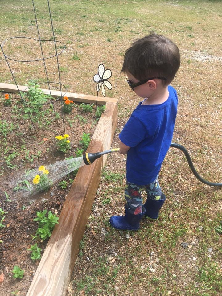 Child watering plants in a raised garden bed