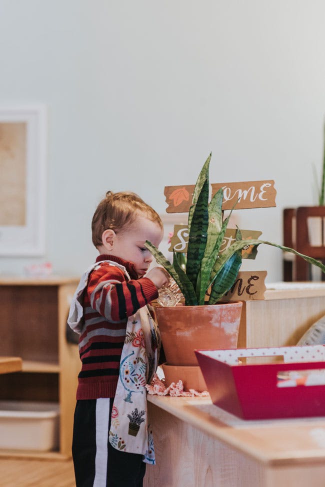 Child touching a potted plant