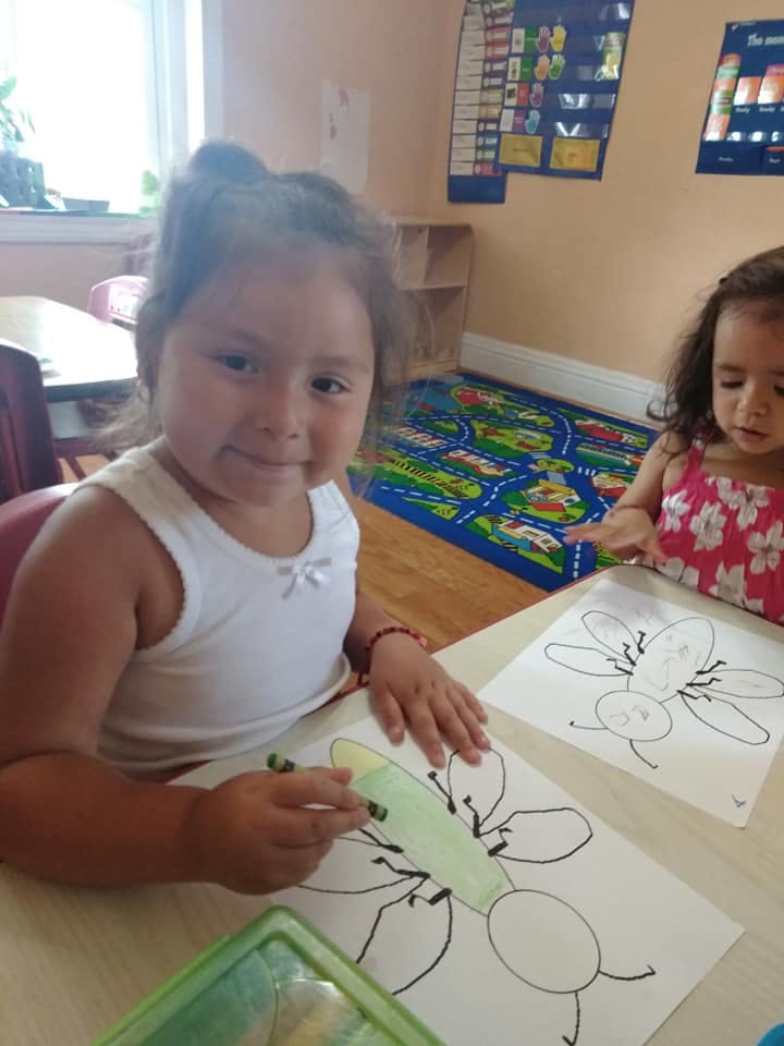 Child coloring a drawing of an insect at a table