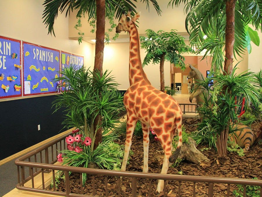 Castle Montessori of Frisco in Frisco, TX