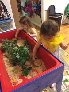 Two children playing in a sand and water table