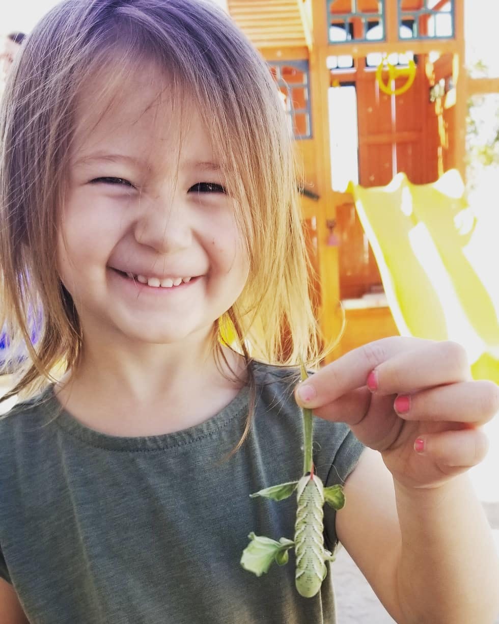 Child holding a large green caterpillar