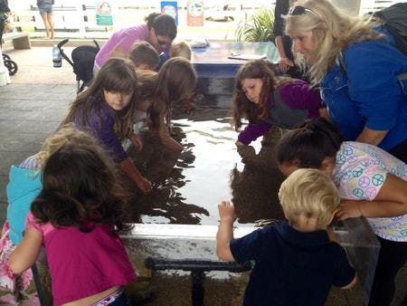 Judy�s Family Child Care Daycare in San Diego, CA Winnie