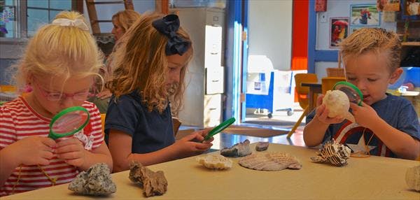 Three children examining rocks and shells at a table