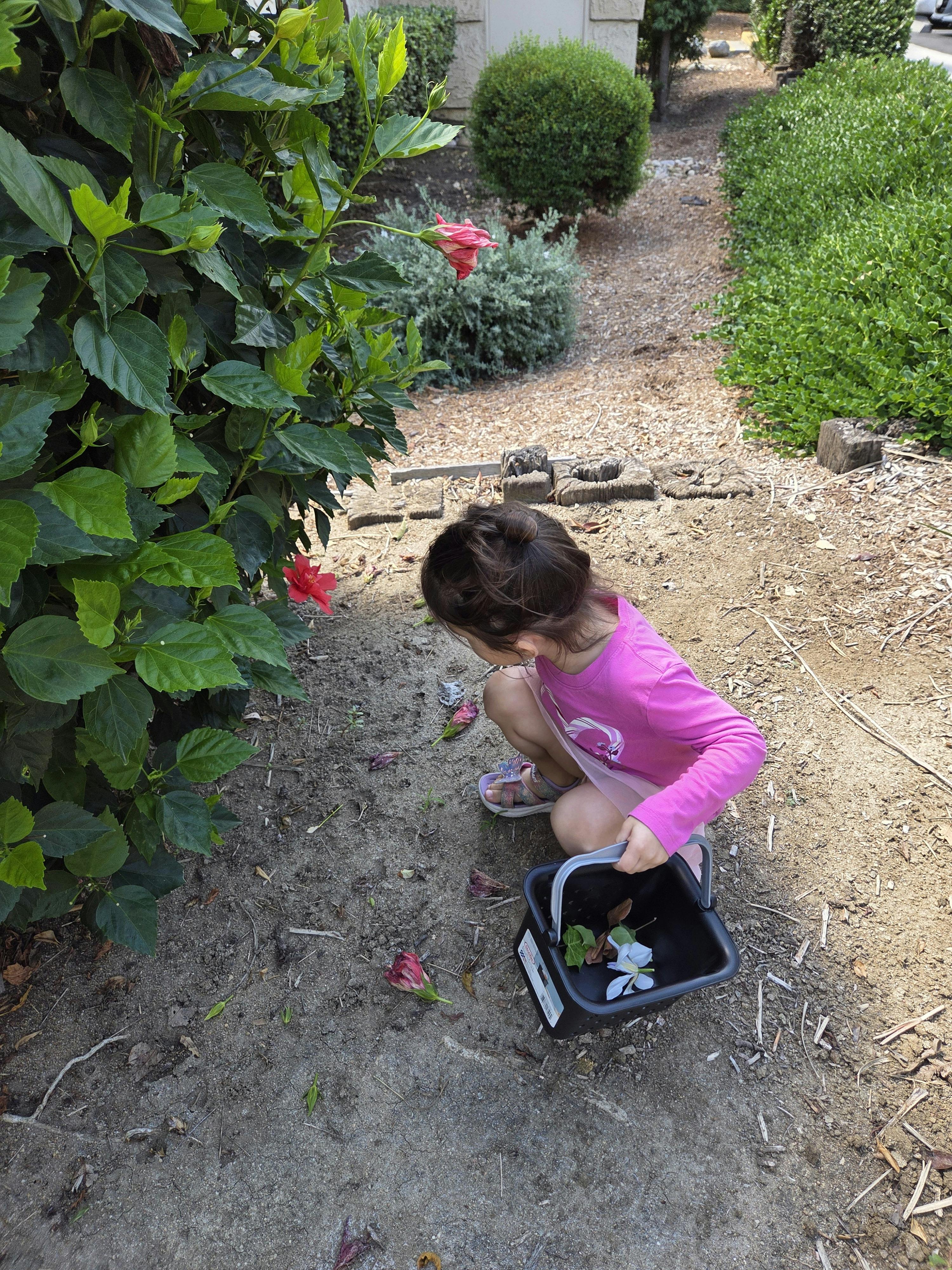 Child crouching next to a plant, holding a small black bucket with flowers