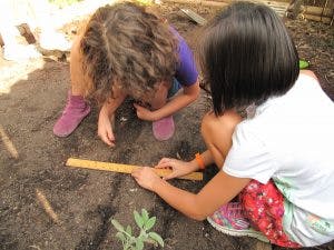 Two children measuring soil with a ruler