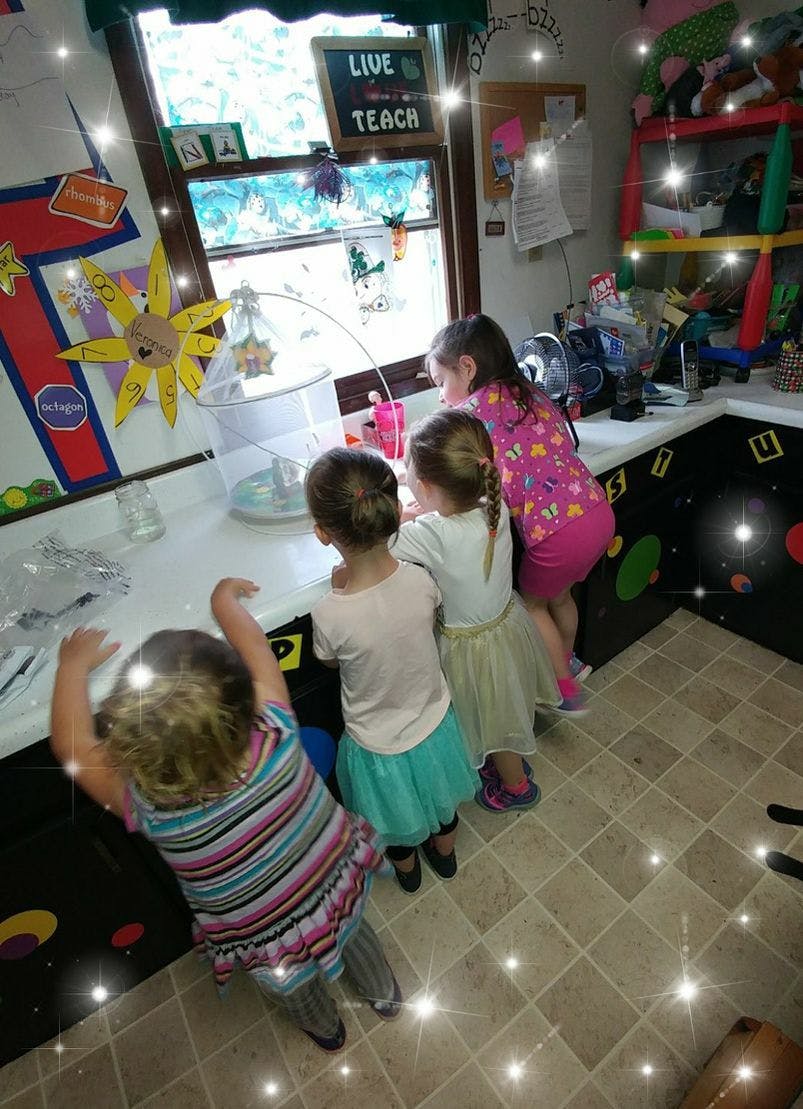 Four children looking at something on a counter in a classroom