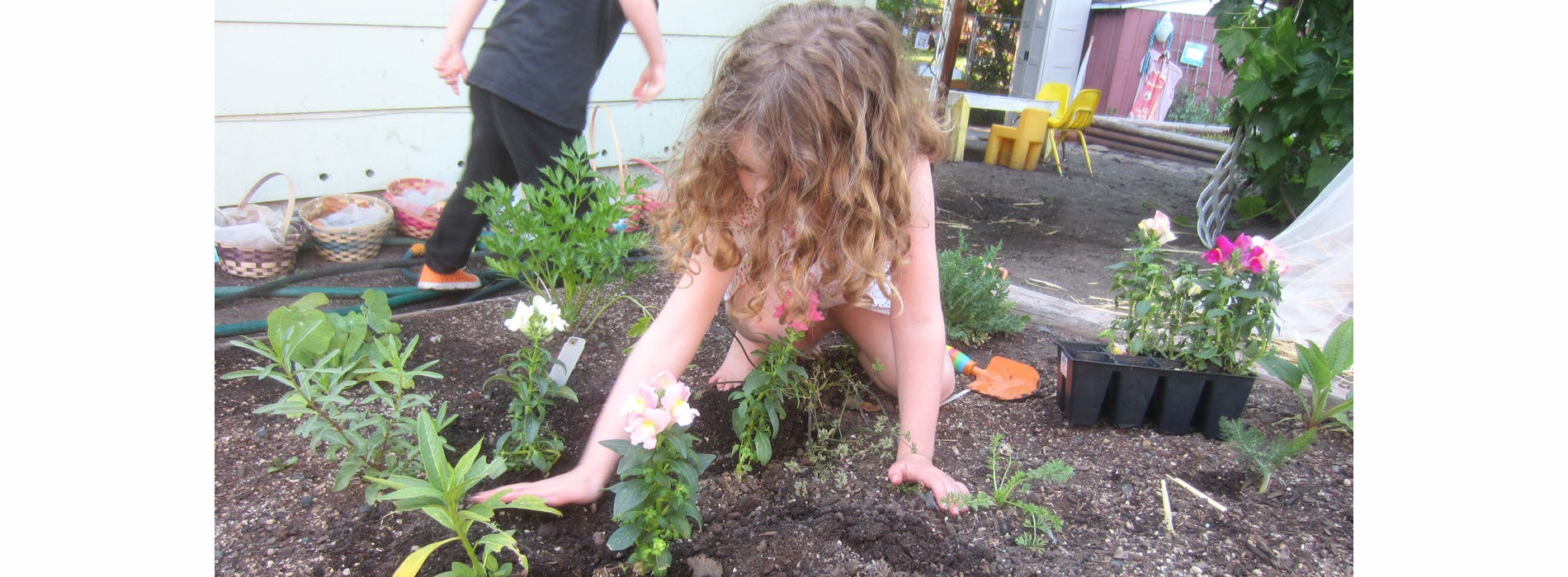 Child planting in a garden