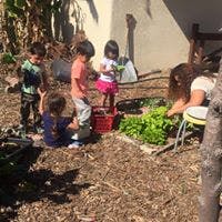 Adult and multiple children gardening outdoors
