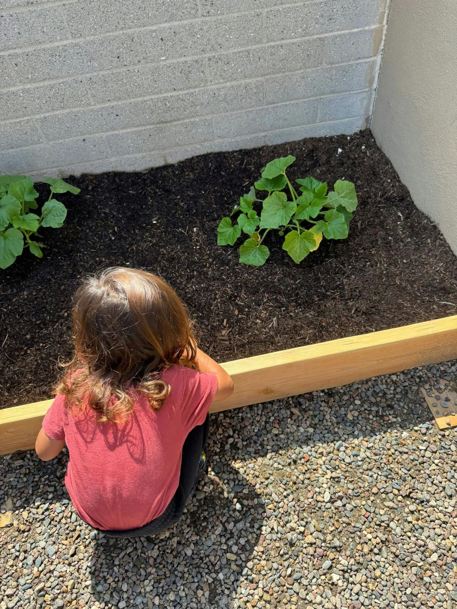 Child kneeling by a garden bed with small plants
