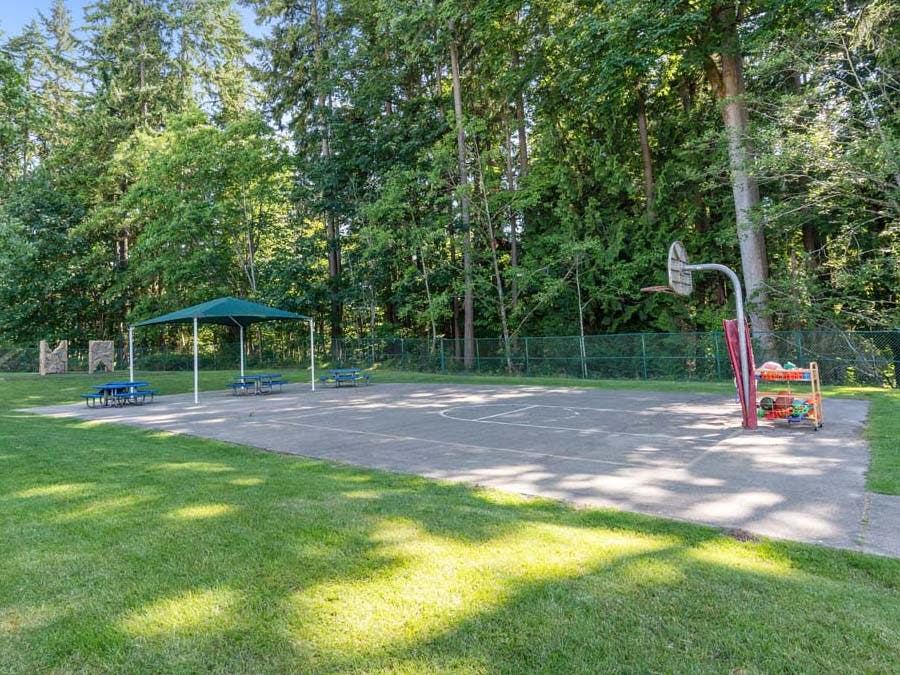 Basketball court with picnic tables under a green canopy next to a forest