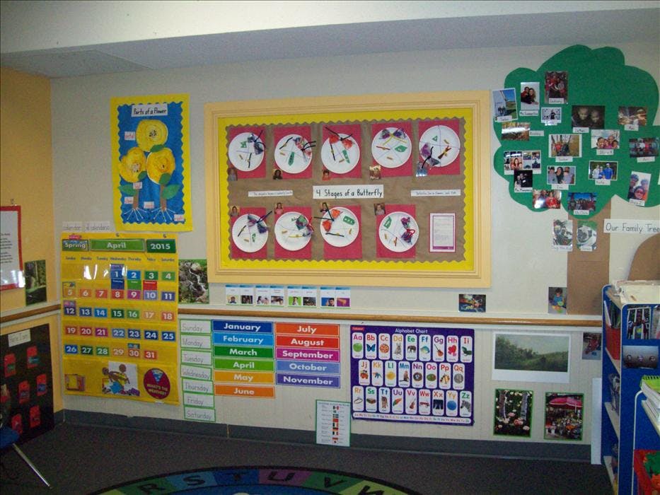 Classroom wall with various educational charts and a "4 Stages of a Butterfly" display