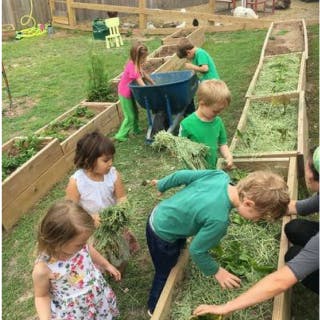 Children gardening in raised beds