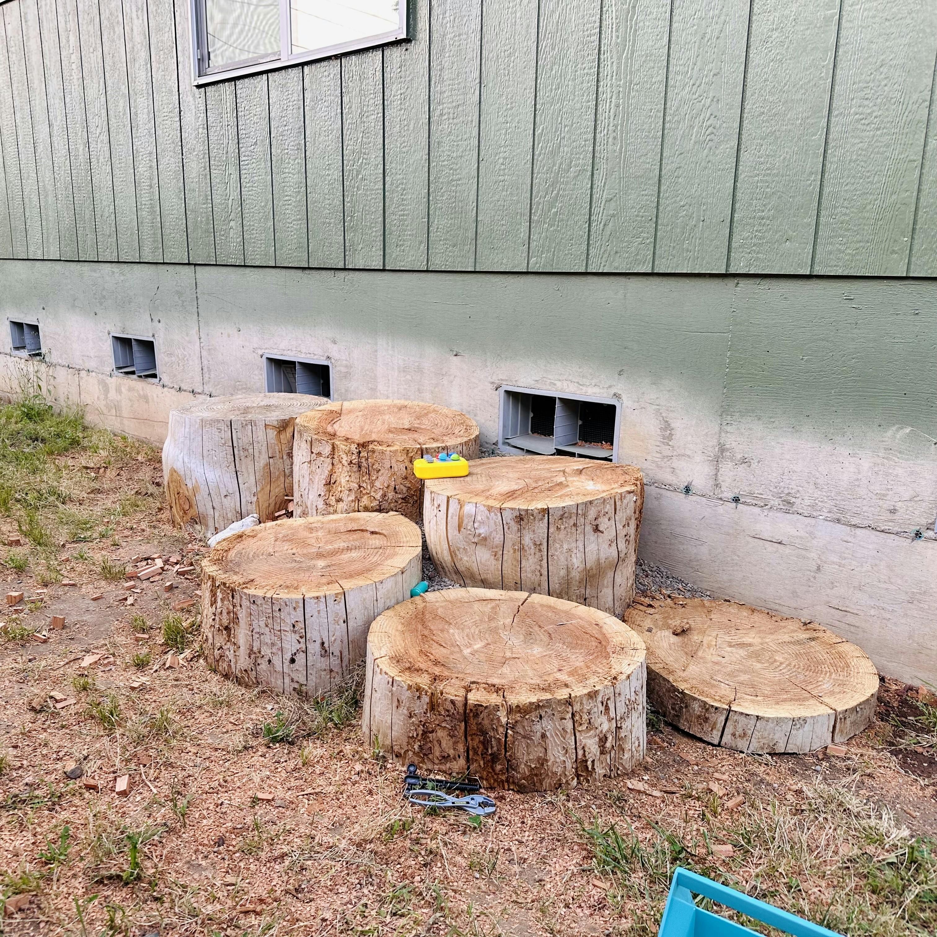 Group of tree stumps placed against the side of a building