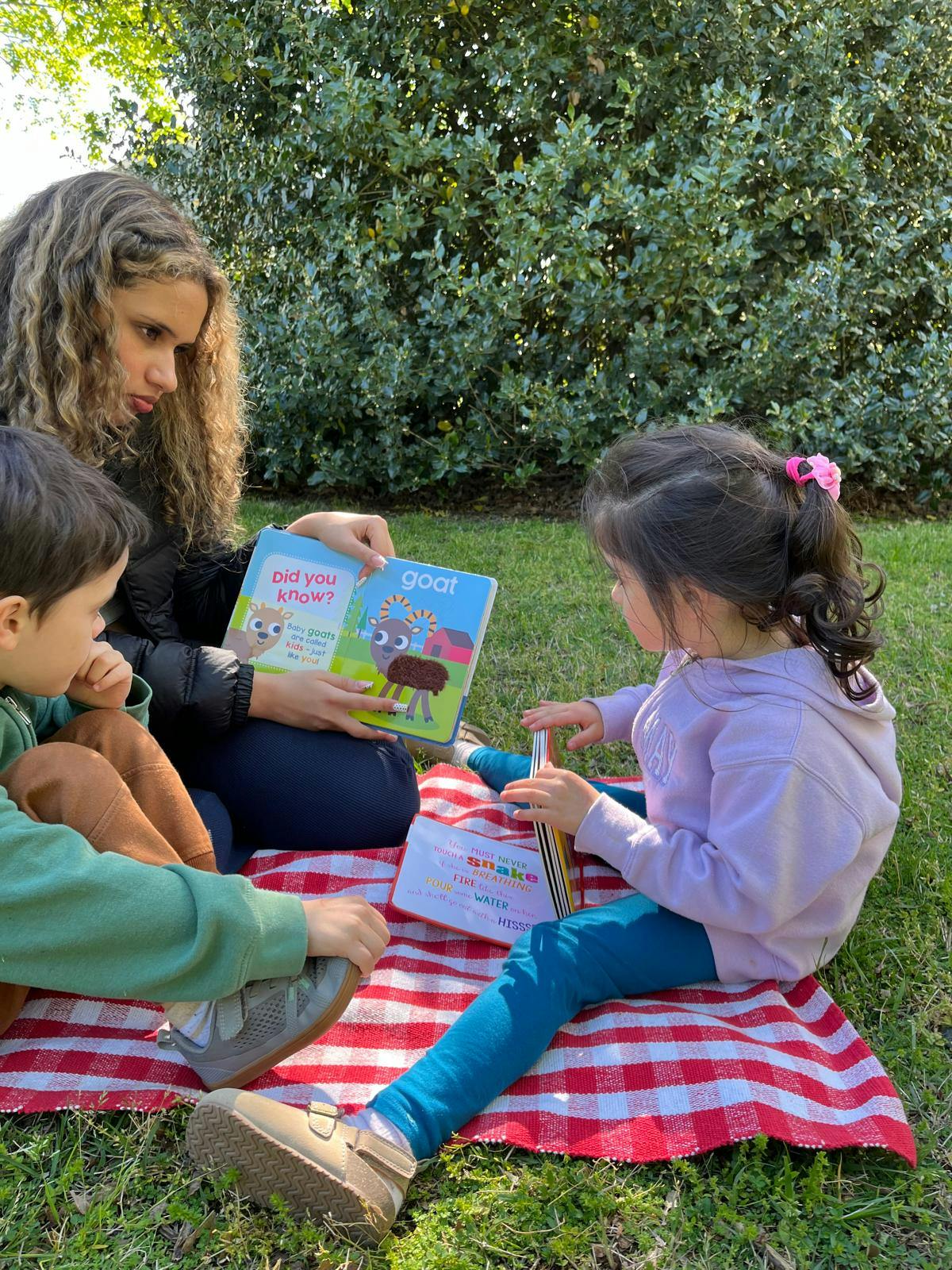 Person reading a book to two children on a picnic blanket outdoors