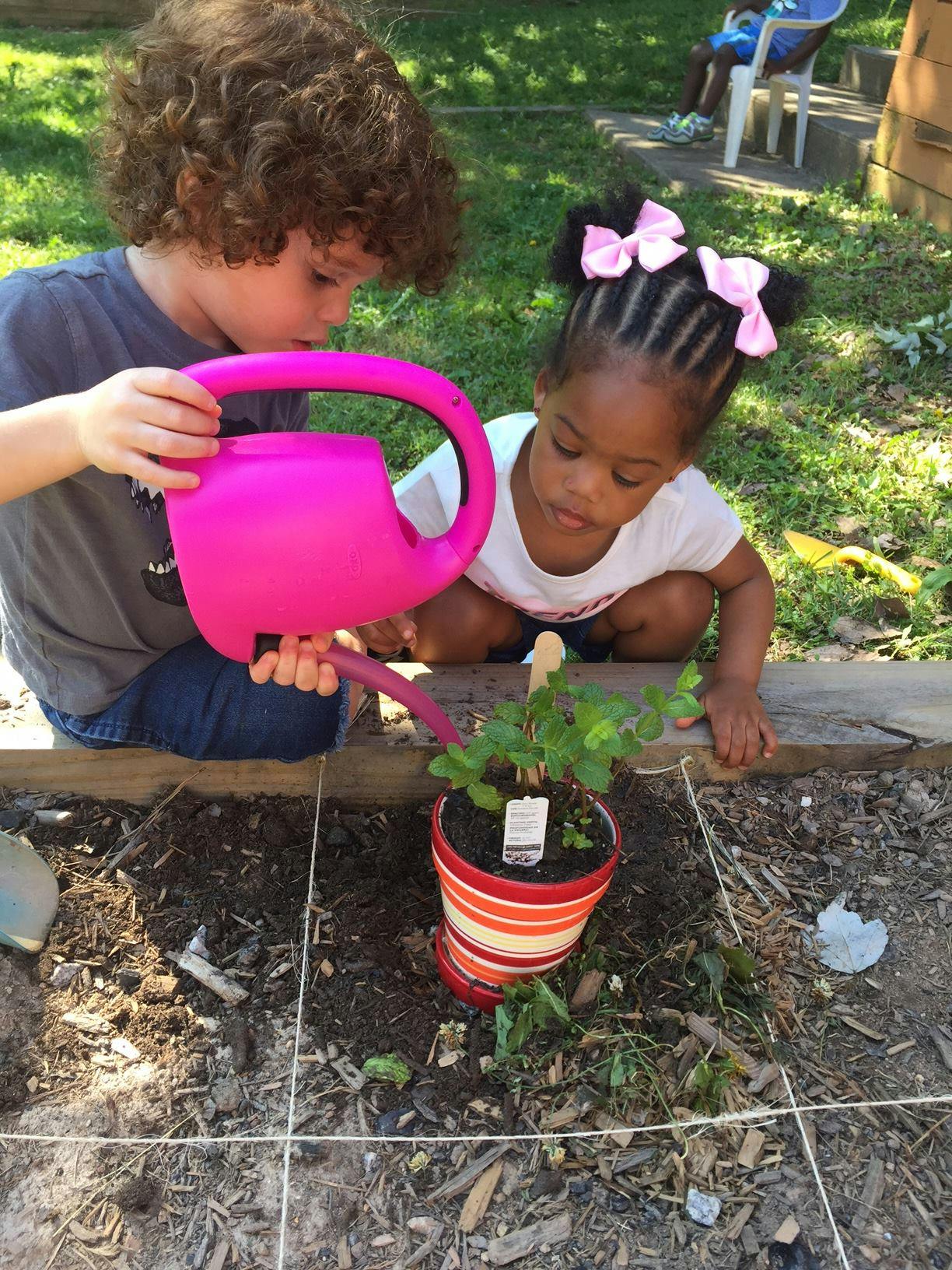 Child watering a plant in a pot while another child watches