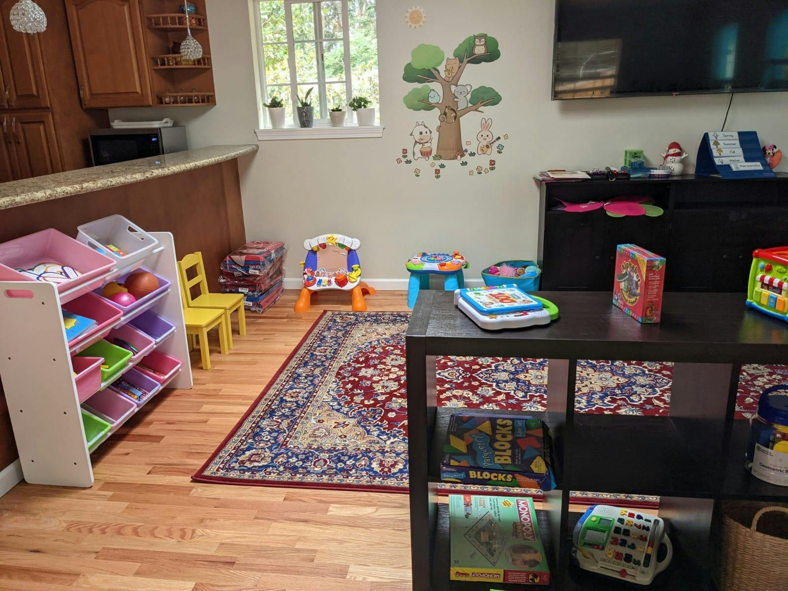 Playroom with toys, rug, and storage shelves