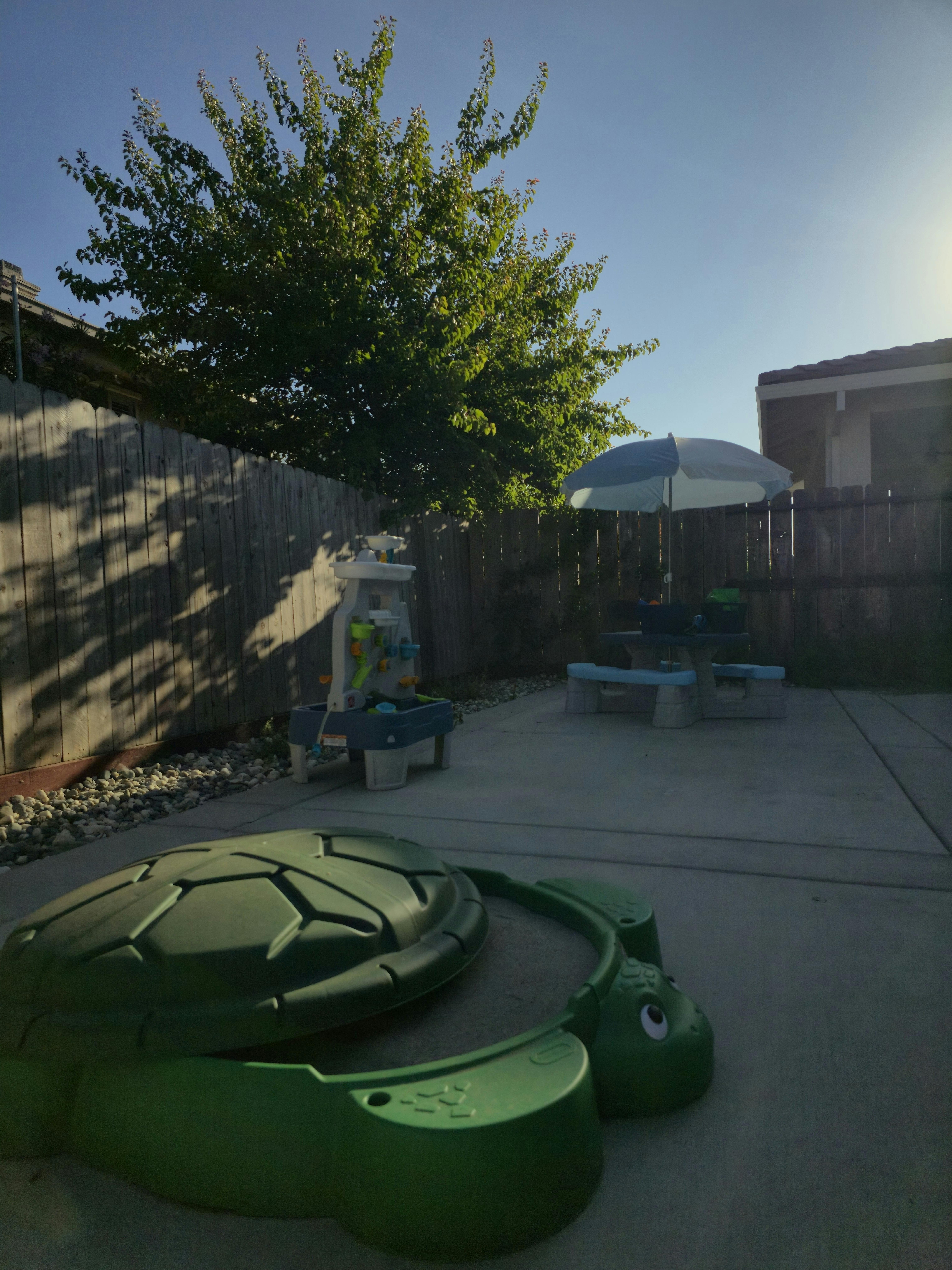 Turtle sandbox in a backyard with a tree and patio furniture